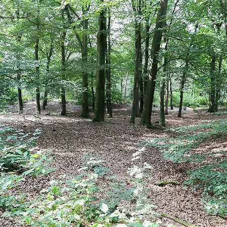De Kattenberg 1